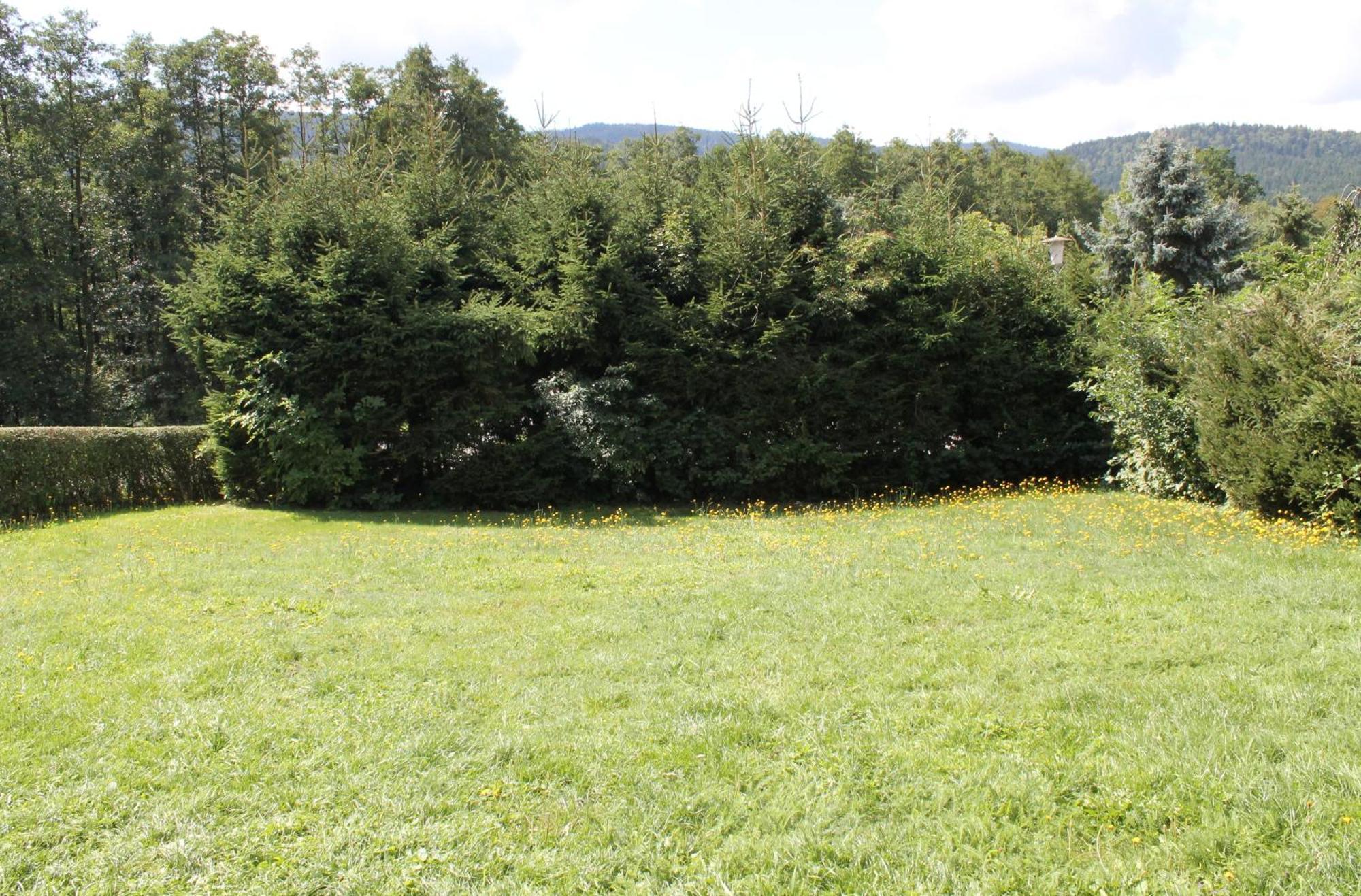 Fewo Bayerischer Wald Im Lamer Winkel Arrach Exterior photo